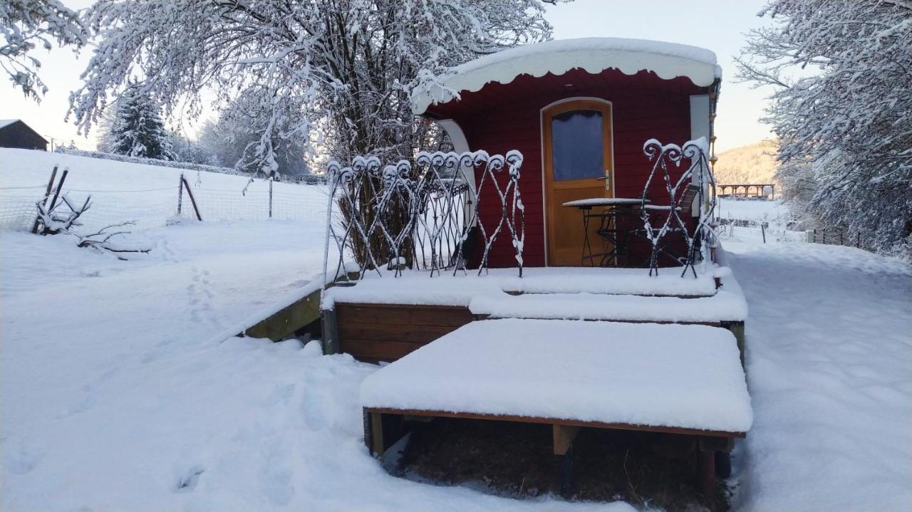 Вилла La Tiny House De La Bergerie Lierneux Экстерьер фото