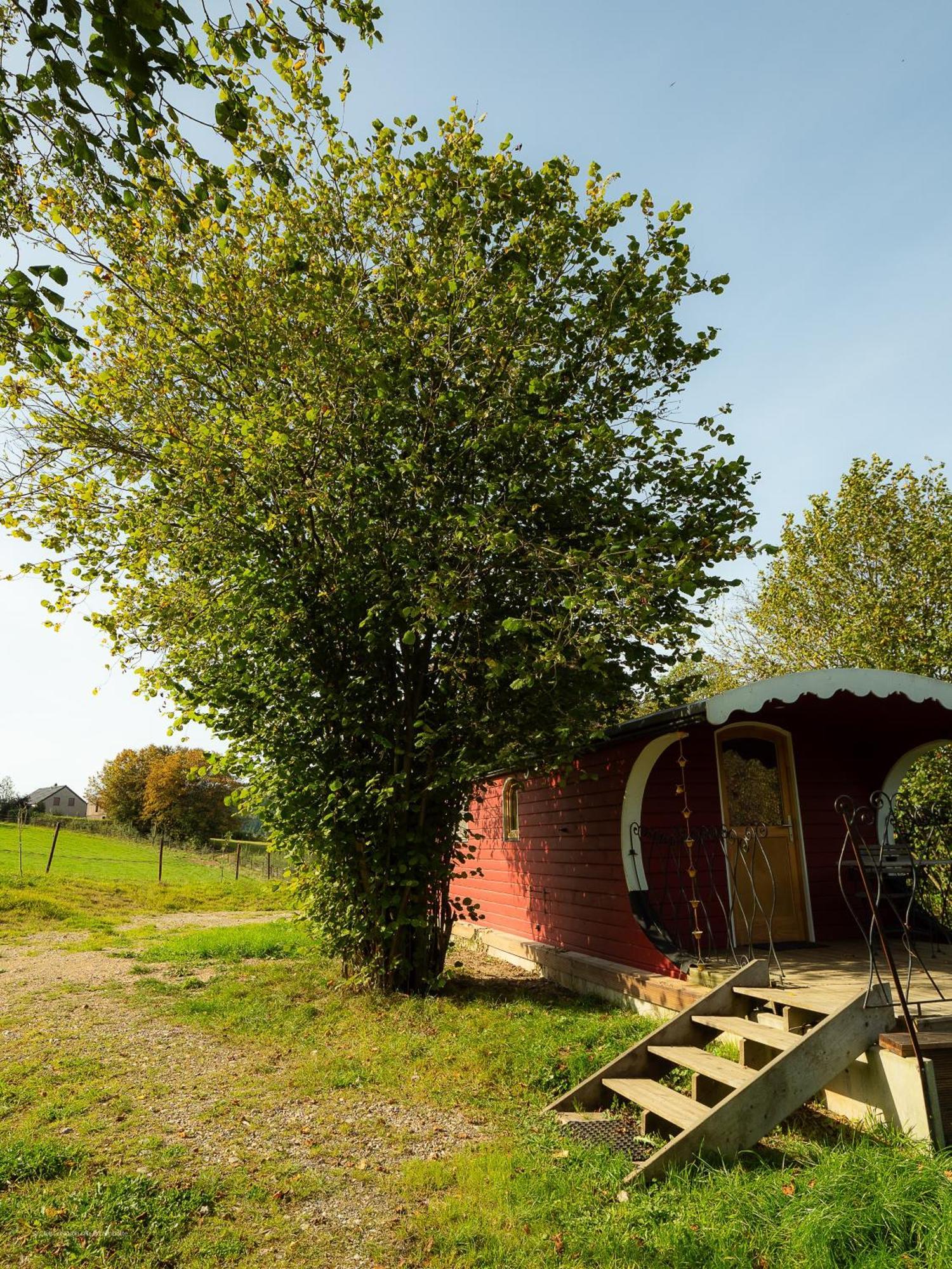 Вилла La Tiny House De La Bergerie Lierneux Экстерьер фото